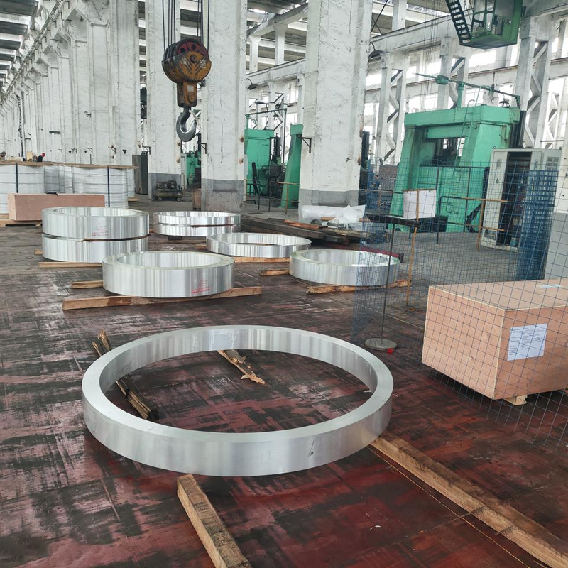 Forged Flanges in Multiple Sizes